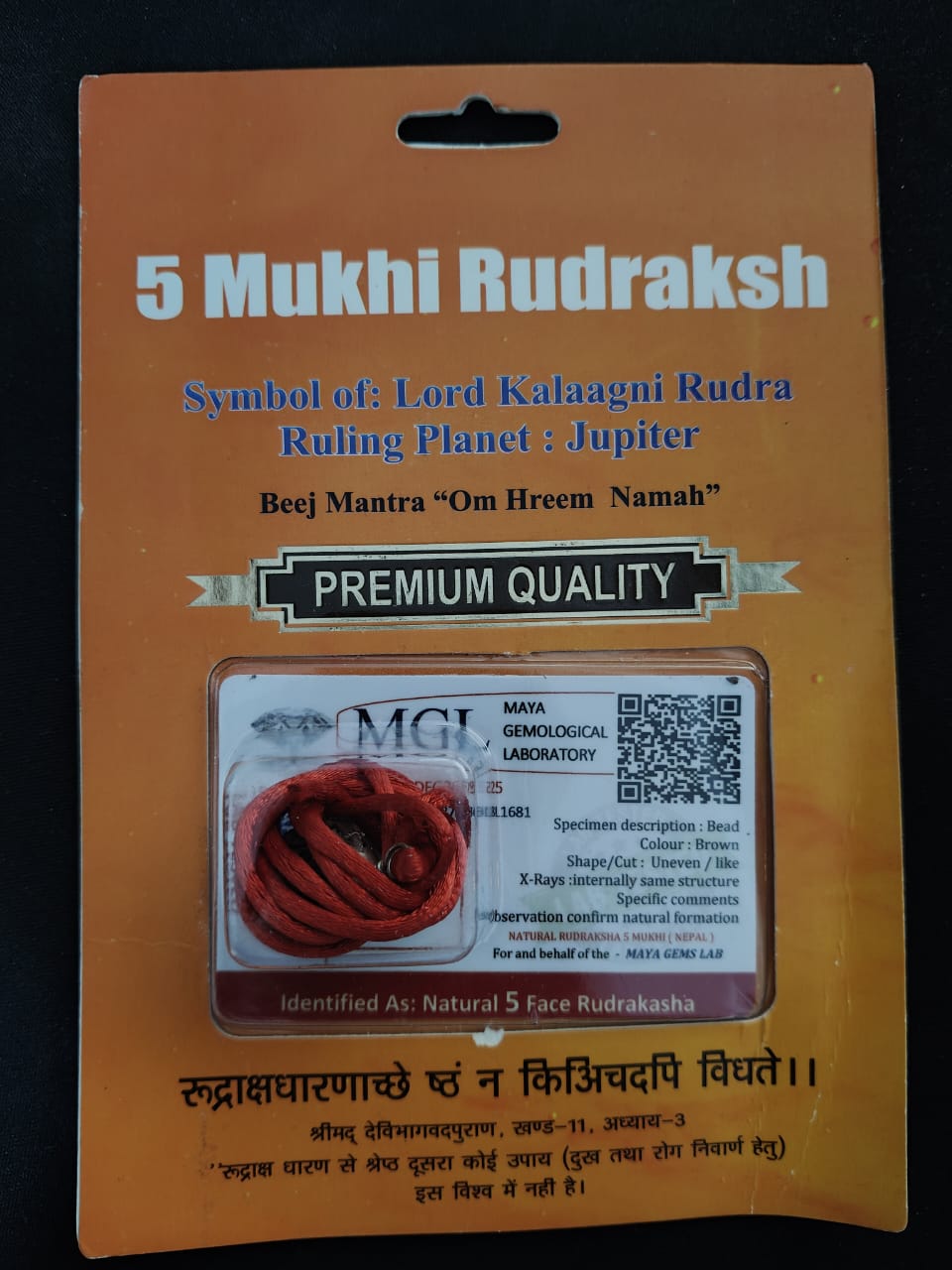 Rudraksha
