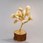 Handcrafted Seashell Gemstone Tree on Wooden Base