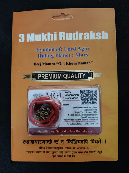 3 Mukhi Rudraksha – Symbol of Lord Agni | Original Natural Certified Rudraksha
