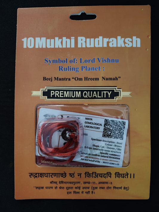 10 Mukhi Rudraksha – Symbol of Lord Vishnu | Premium Quality Natural Rudraksha
