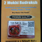 2 Mukhi Rudraksha – Symbol of Lord Ardhanareeshwara | Natural Certified Bead