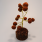 Rudraksha Tree