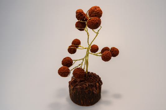 Rudraksha Tree