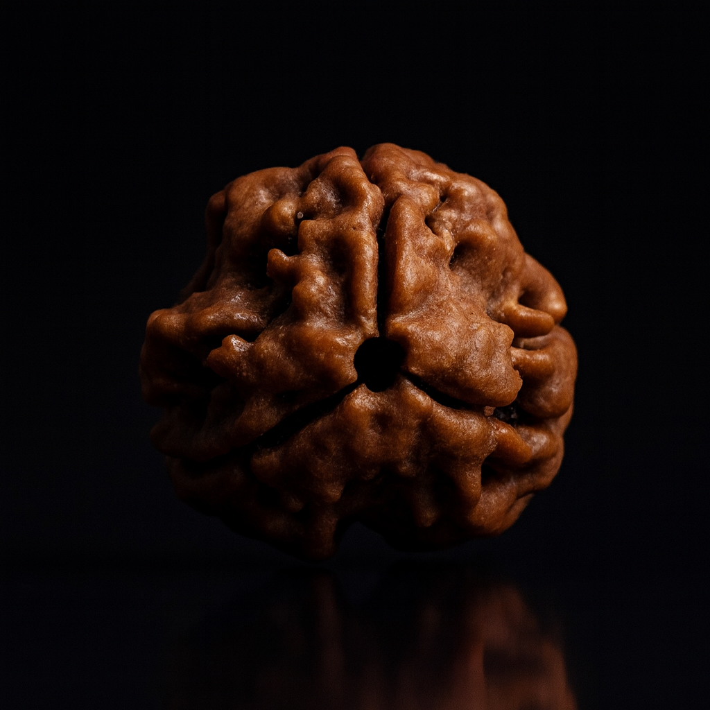Rudraksha
